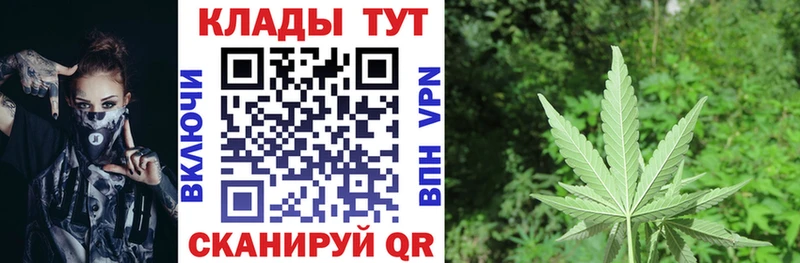 Магазины продажи наркотиков Ладушкин Псилоцибиновые грибы Меф мяу мяу Конопля АМФЕТАМИН