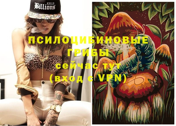 винт Баксан
