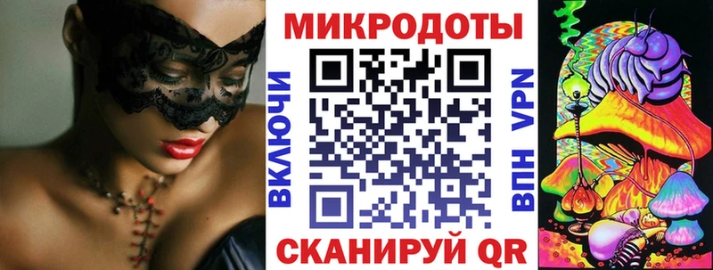 Псилоцибиновые грибы Psilocybe  Ладушкин 